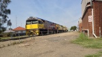big_yellow_train